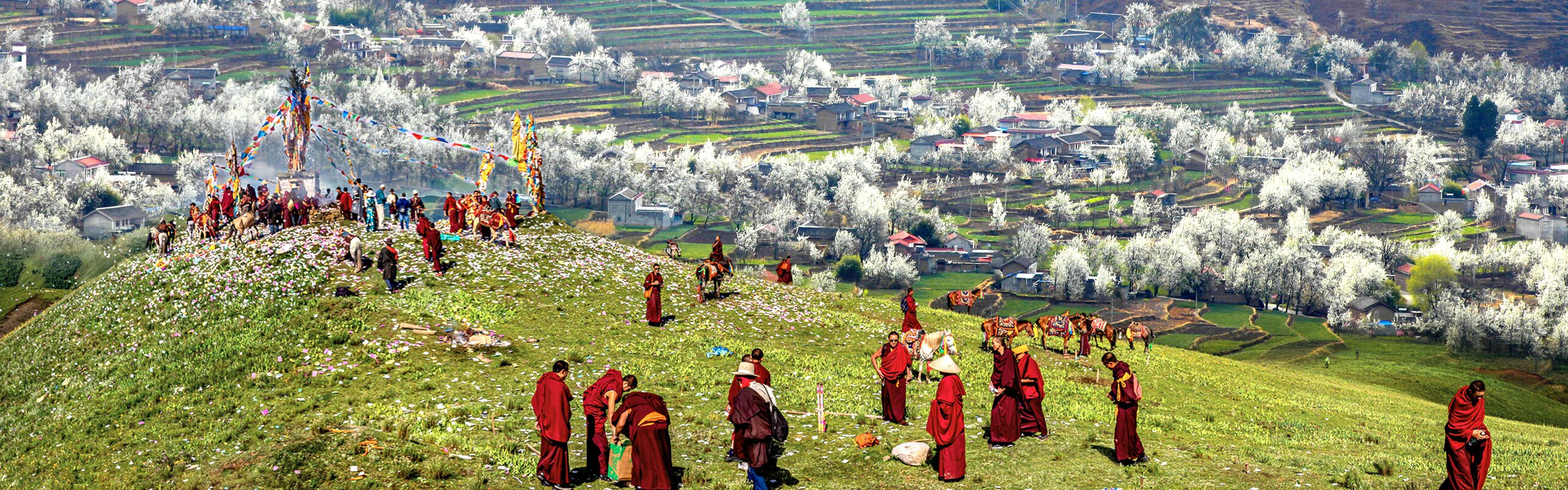 4-Day Western Sichuan Tibetan Spring Tour from Chengdu